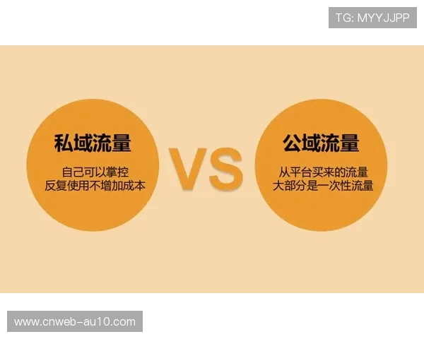 订阅服务推出多设备共享套餐，增强用户粘性并减少流失率。